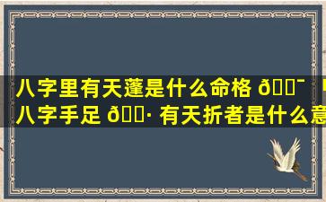 八字里有天蓬是什么命格 🐯 「八字手足 🌷 有天折者是什么意思」